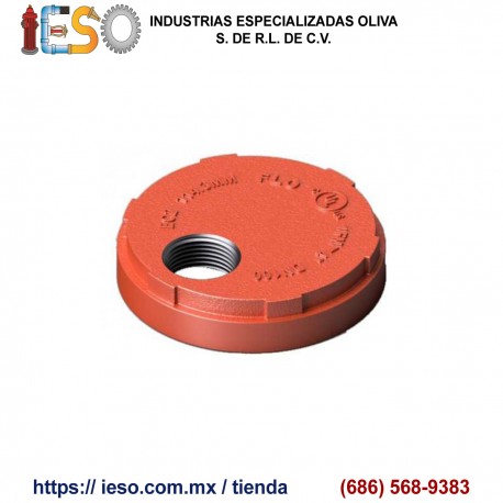 Tapon para Dren con Rosca 1" NPT Hierro Dúctil Ranurado 4"