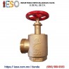Válvula de Ángulo Hembra NPT - Macho NST de 2-1/2"